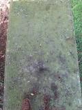 image of grave number 213408